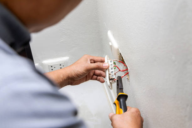 Best Electrician Near Me  in Fremont, MI