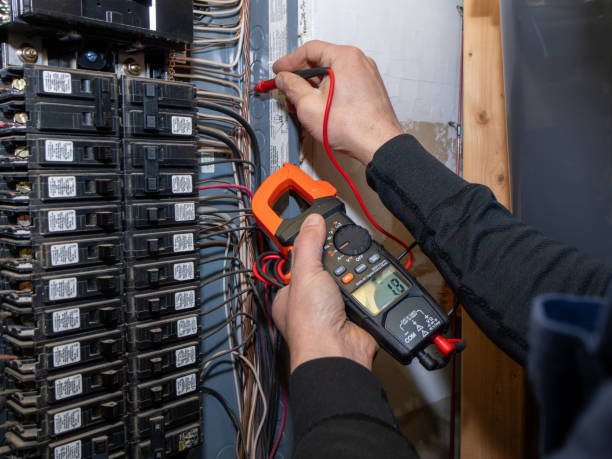 Best Residential Electrician Services  in Fremont, MI